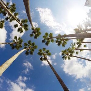 Meet your Posher, Parris